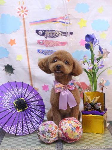 20240506ベルくん